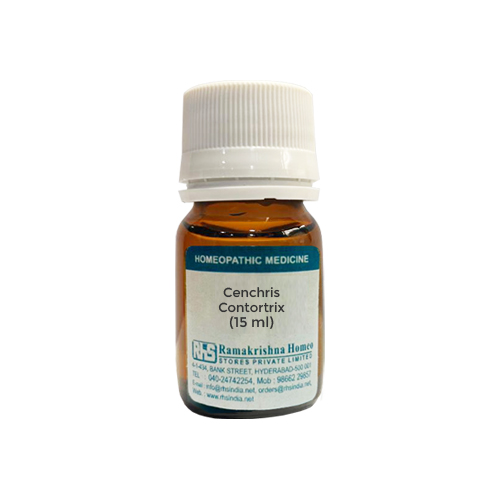 Cenchris Contortrix (Pills) - Image 3